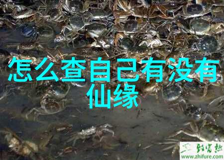 道家真人的秘密名单探寻古代智者身份的迷雾