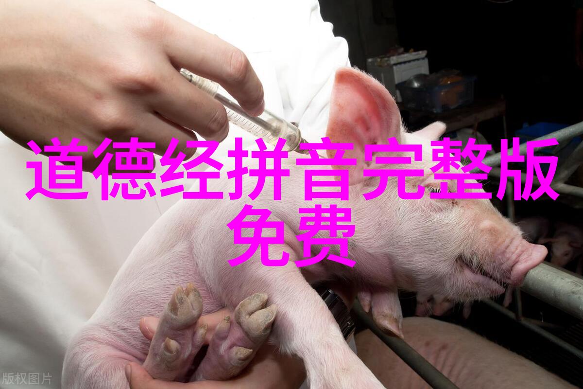 墨香沉浮解锁中国书法艺术的深邃秘密
