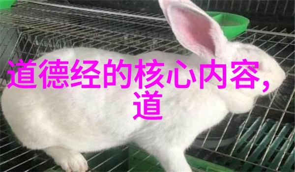 男女角色的区分与无欲则強有何关联我们该如何理解这一点