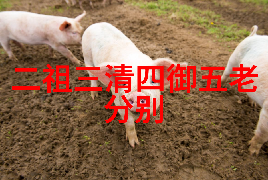 玄秘启蒙揭秘奇门遁甲入门基础学