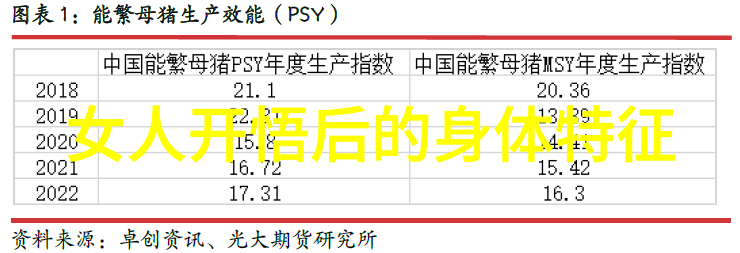 绵阳三台乐开怀欢天喜地闹元宵探究中国民俗文化在社会中的 papel