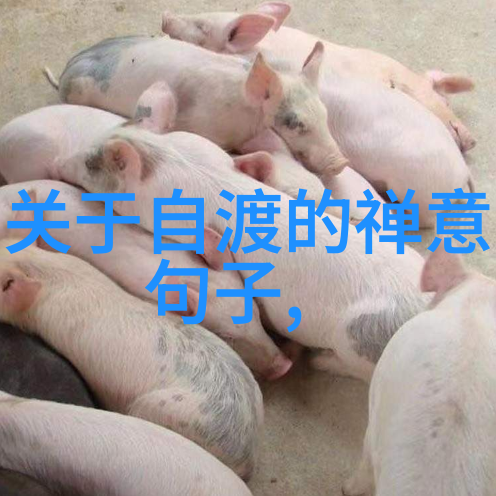 永恒的绝唱心灵的轮回与道德的沉沦