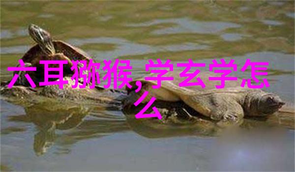 修炼之路从咖啡厅到道家法术