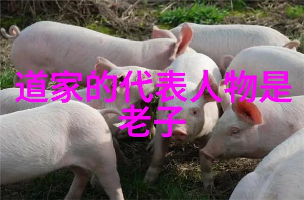 文字游戏与审美体验深入浅出了解书法作品