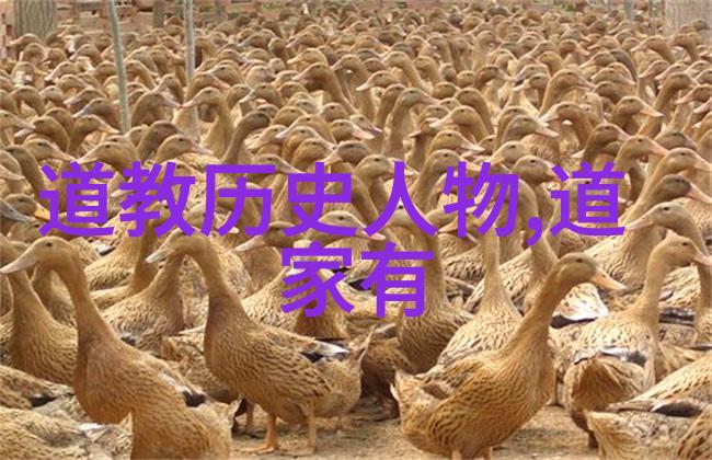 无欲则刚的女人她那不屈的魅力