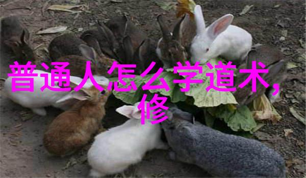 在面对诱惑时无欲之人会采取什么样的防御机制