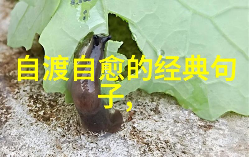 改变这一概念在不同的文明中有着怎样的意义和影响力