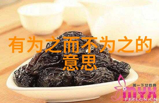 道教经典书籍探究解读天人合一的智慧