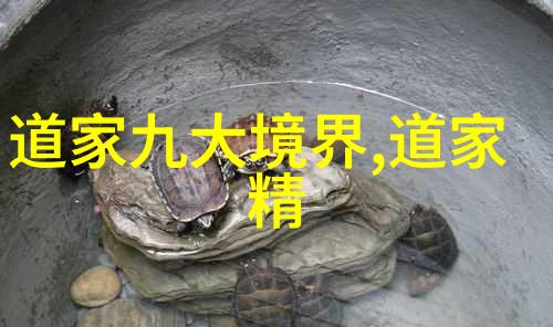 张岱年现代道家学者的解读与贡献