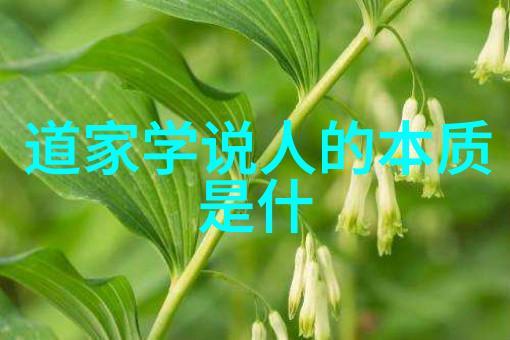 尘封的光芒守拙之道与平凡中的辉煌