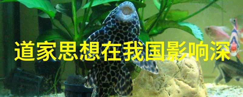 太白山道长王兴理自然中的道家代表人物