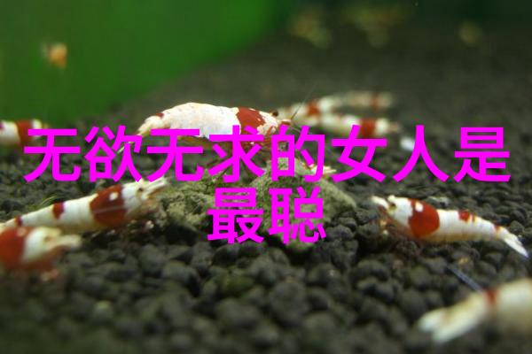 当权力与利益相互纠葛时如何坚守存天理的原则