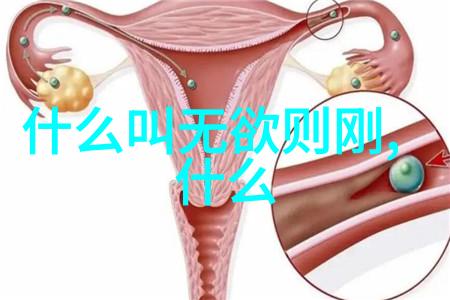 五十六个民族的风俗丰富如同星辰藏医胚胎学深邃如同古老的森林