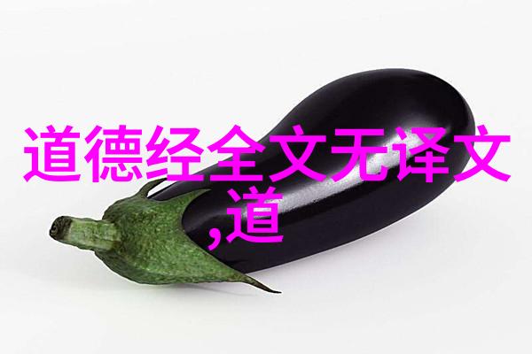 古籍深处的秘密道家经典背后的神秘之谜