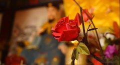 虎毒不食子万物不自伤平等对待一切生命是每个