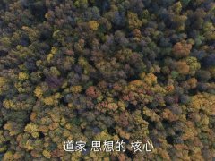 道家核心思想，道家思想：道法自然