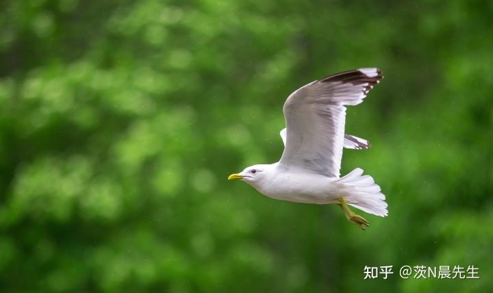 道家哲学最高概念_道家推崇的最高哲学_道家思想的哲学诠释/