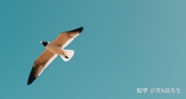 道家哲学最高概念_道家思想的哲学诠释_道家推崇的最高哲学/