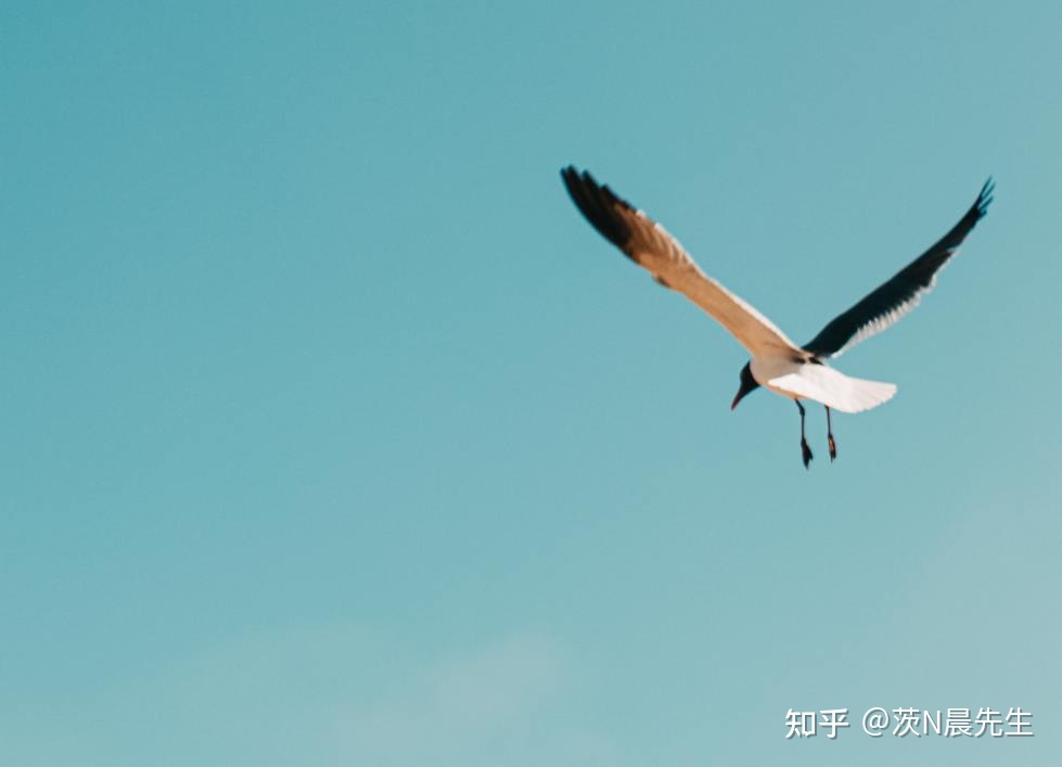道家思想的哲学诠释_道家推崇的最高哲学_道家哲学最高概念/