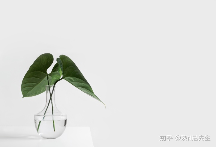 道家思想的哲学诠释_道家哲学最高概念_道家推崇的最高哲学/