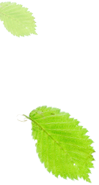 多多益善代表什么人物_道家代表人物_道家长寿人物/
