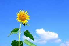 儒道佛三教的代表人物道儒佛创始人简介