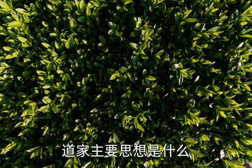 道家主要思想是什么