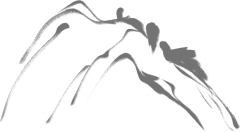庄子道家传统文化仁义礼智信的代表