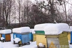 神仙与市井道教名人的现代反差