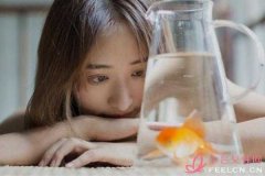 哲学-探讨哲学领域的各大学说